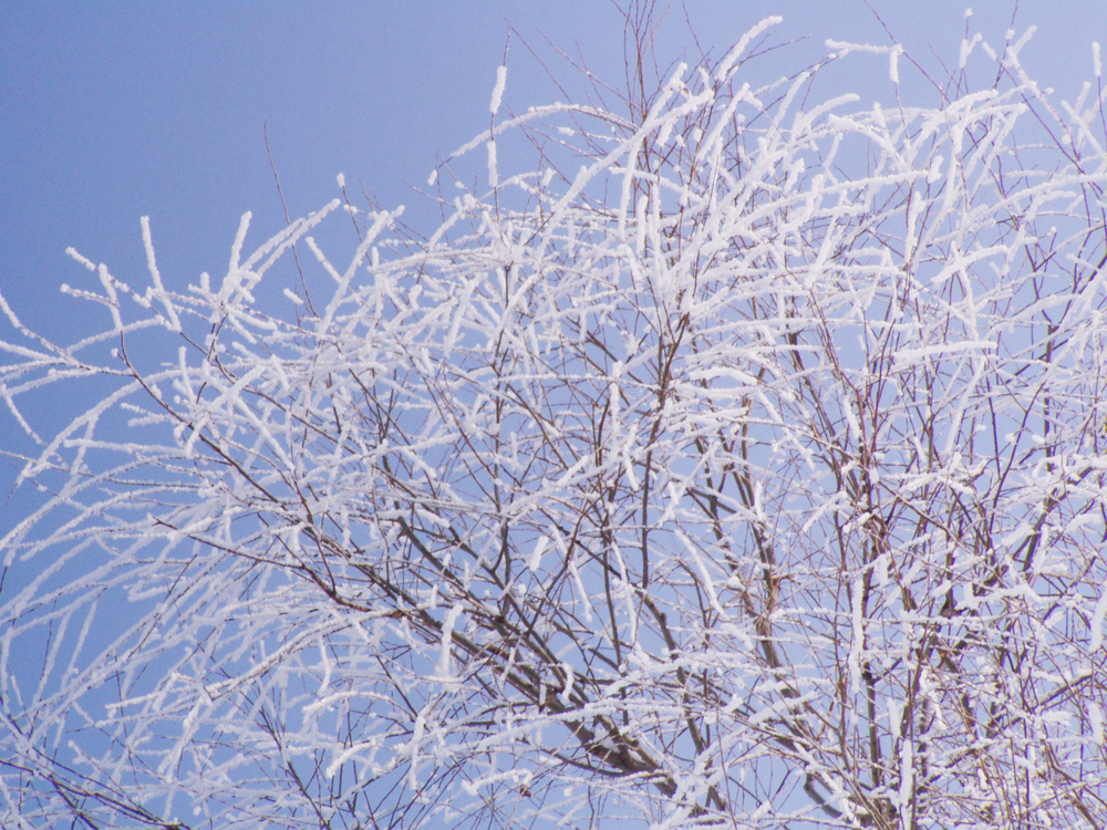 Five tips to Realtor productivity on an Alabama snow day